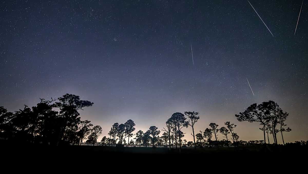 Florida Prepares for Spectacular Perseid Meteor Shower This Weekend