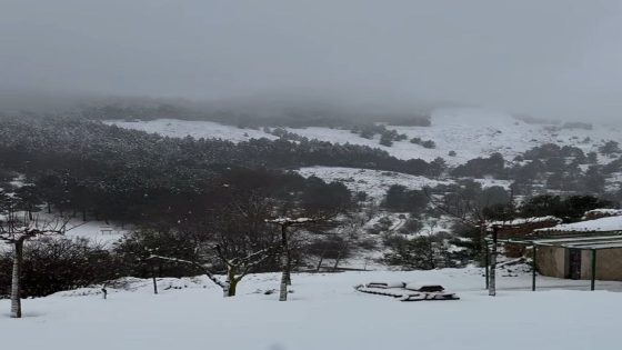 Després del temporal, ara que?