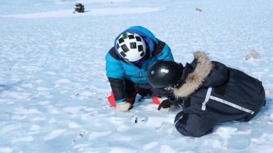 Onderzoeksteam onder Belgische leiding vindt 115 meteorieten in Antarctica, “maar de omstandigheden waren zwaar”