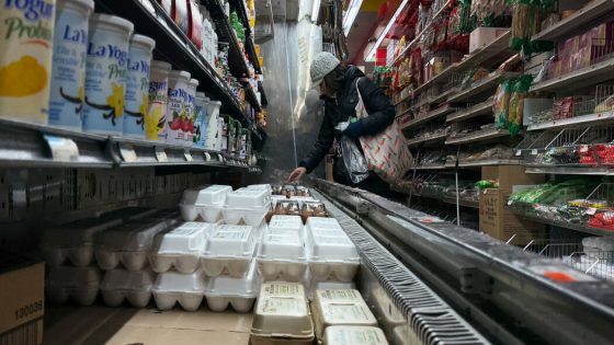 Bird Flu in U.S. Is Creating Egg Shortages and Driving Up Prices