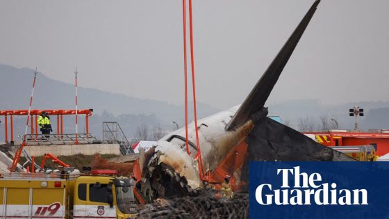 Bird remains found in both engines of crashed Jeju Air jet, report says | South Korea plane crash