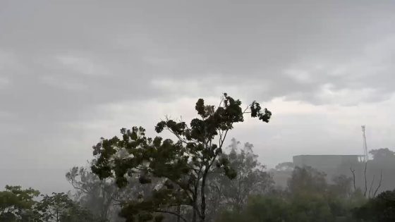 Vale e região terão alto volume de chuva no fim de semana; veja locais de maior atenção - G1