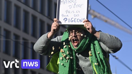 Dertigduizend betogers in Brussel tegen besparingsplannen in Franstalig onderwijs