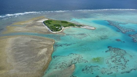 Coral bleaching on Australia’s Great Barrier Reef reaches ‘catastrophic’ levels, study finds