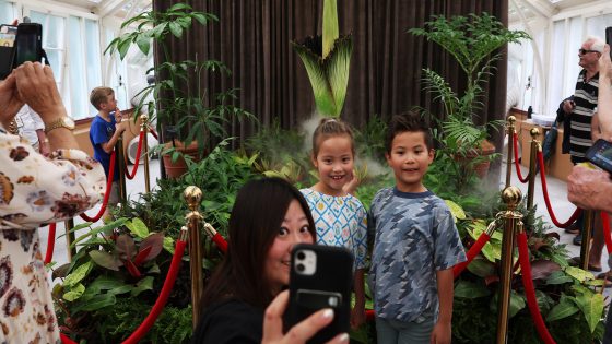 Visitors flock to see the 'corpse flower' in bloom