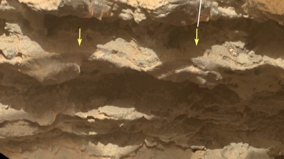 Curiosity Finds Evidence of Open Water on Ancient Mars : ScienceAlert