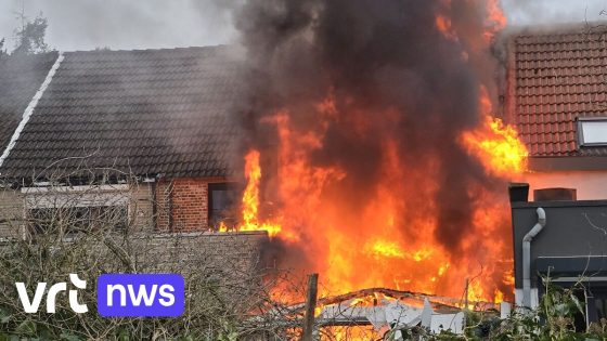 Zware brand legt rijwoning in Waasmunster in de as, 5 honden overleven de brand niet