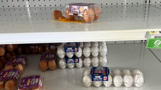 Egg prices will be at a record-high for a while