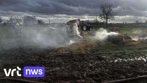 Boeren met tractoren helpen brandweer met blussen van hooischuurbrand in Herenthout