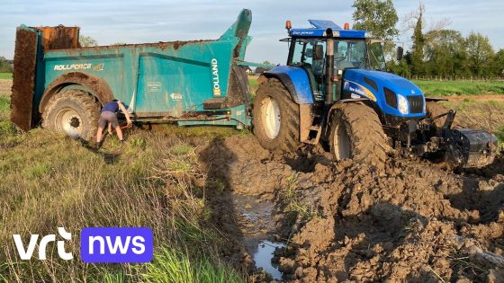 Fruittelers en landbouwers in Haspengouw houden hart vast door vele regen: "Tegen dit weer kan je niets beginnen"