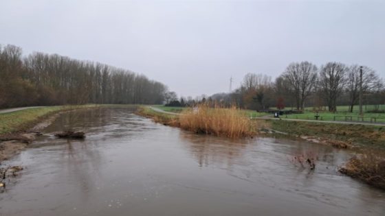 Kans op overstroming blijft reëel langs Dender en Demer: “De komende 48 uren zijn cruciaal”