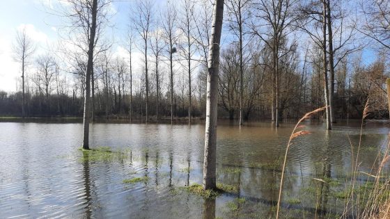 Gevaar voor overstromingen voorlopig geweken: “Waterpeilen zullen nog een tijdje hoog staan”