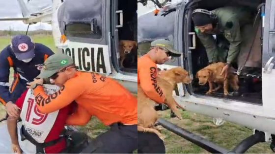 Cinco pessoas e três cachorros são resgatados de enchente no Ceará após rompimento de barragem