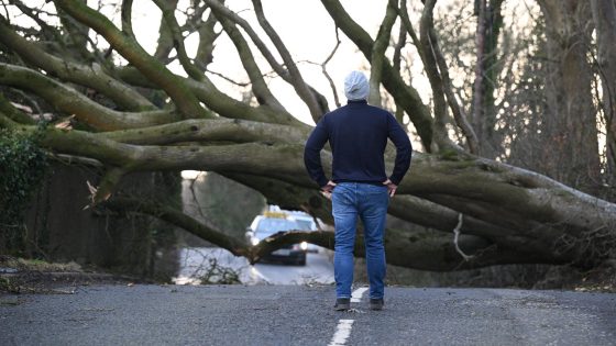 Storm Eowyn brings hurricane-level destruction to Ireland » Yale Climate Connections