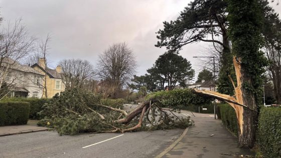 Storm Éowyn lashes Ireland and Scotland as hurricane-force winds ground flights