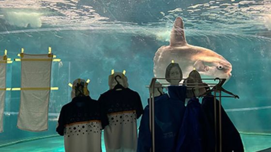 Japanese aquarium cheers up lonely sunfish with cardboard cutouts of people