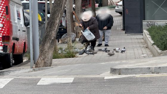 Gent gran, perfil que dona menjar als coloms