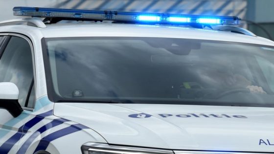 Zware avondspits op E313 in Hasselt door ongeval (Hasselt)