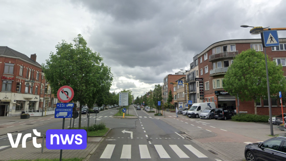 Man in Vilvoorde meermaals gebeten door hond, verschillende politieploegen grijpen in