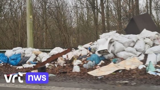 Groot sluikstort aan Brusselse ring in Anderlecht wordt maandag opgeruimd