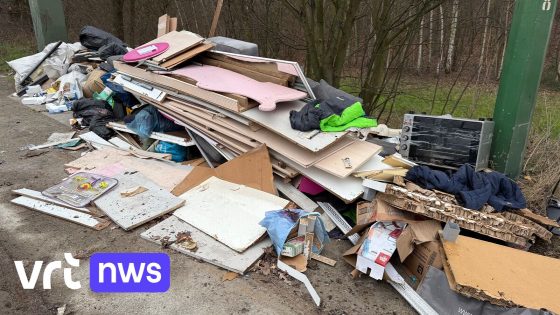 Groot sluikstort opgeruimd aan oprit A12 op Noorderlaan in Antwerpen