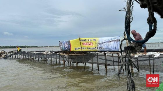 Pagar Laut Misterius di Tangerang Akhirnya Dibongkar TNI AL dan Warga