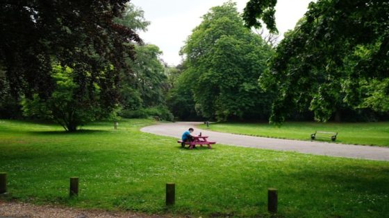 Politie doet 9 arrestaties na vechtpartij in Citadelpark en kat-en-muisspel door Gentse binnenstad (Gent)