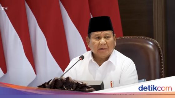 Prabowo Minta Maaf Makan Bergizi Gratis Belum Menjangkau Semua Anak