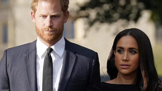 Prince Harry, Meghan Markle labeled as 'entitled bullies' after shocking claims