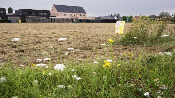 Tegenstander trekt beroep in, bouw buurtsupermarkt Okay kan van start gaan