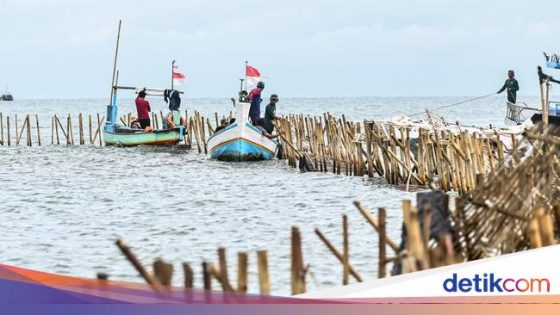 SHGB-SHM di Pagar Laut Tangerang Diduga Ilegal, Menko AHY Dorong Investigasi