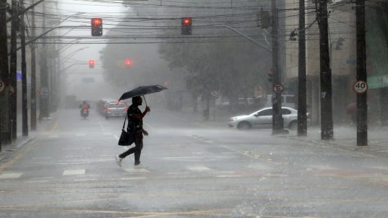 SP, RJ e MG podem ter chuva de um mês em três dias neste fim de semana - Revista Globo Rural