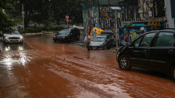 São Paulo tem chuva mais intensa desde 1988 - 25/01/2025 - Cotidiano