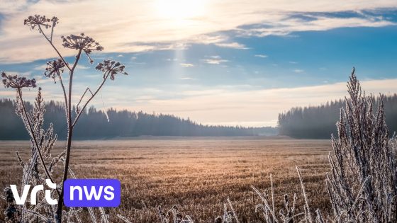 Bijna gedaan met bibberen: grijs en koud weer maakt plaats voor zachtere temperaturen (met regen)