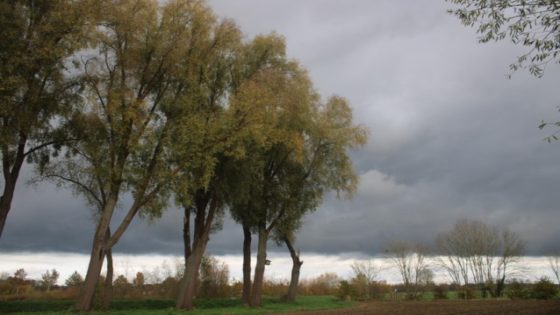 Veel wind en regen verwacht: KMI kondigt code geel af, noodnummer 1722 geactiveerd