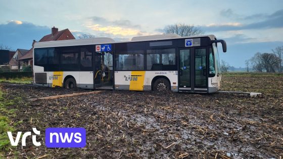 Bus vol scholieren belandt in weide in Retie: chauffeur werd onwel achter stuur - VRT.be