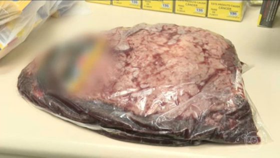 Flagrante de carne podre no mercado: como saber se o alimento está impróprio para o consumo - G1