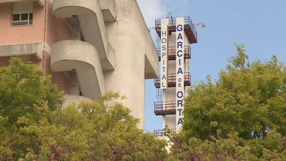 Diretora do serviço de Obstetrícia e Ginecologia do hospital Garcia de Orta demite-se