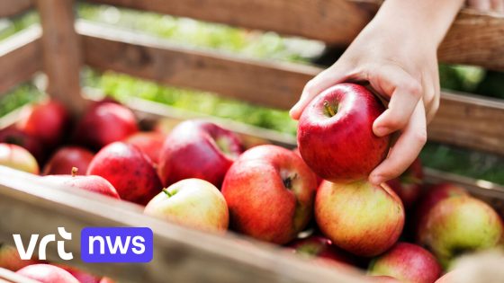 Appels in de supermarkt kunnen wel 10 maanden oud zijn (en toch merk je dat niet als consument)