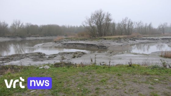 In Temse starten werken om knijtenplaag in te dijken: "Bressen in de rivierdijk gaan weer dicht"