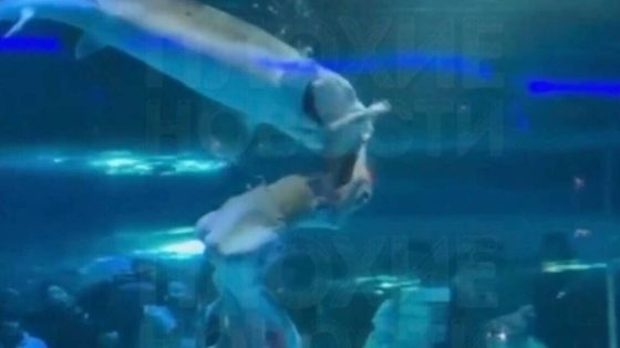 Horrifying moment 'mermaid' is attacked by giant fish in aquarium - World News - News