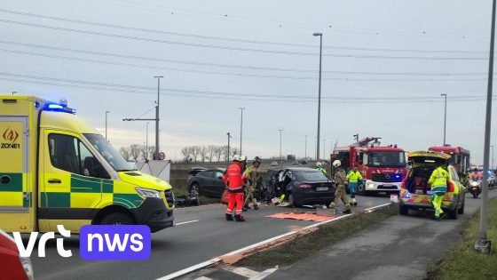 Man van 63 overleden bij frontale aanrijding in Brugge