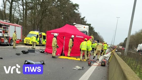 Reeks kettingbotsingen op E314: 79-jarige man uit Beringen om het leven gekomen