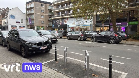 Gemeente Ukkel moet van rechtbank fietshekken terugplaatsen: "Weer parkeerplaatsen voor auto's die verdwijnen"