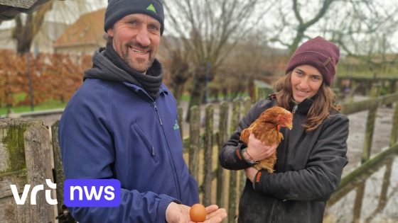 "Kans van 1 op 1 miljard": kip legt ei zo rond als een bal in kinderboerderij Bokkeslot in Deerlijk