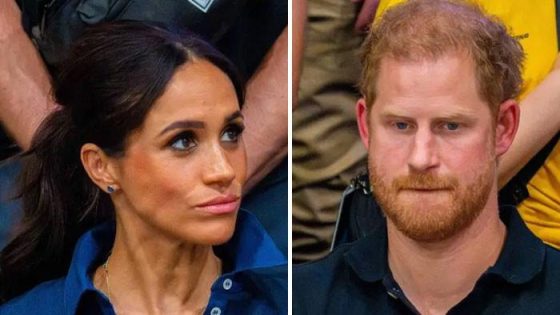 ‘Abandoned' Prince Harry, Meghan's dynamic explained: ‘Here's why they work'