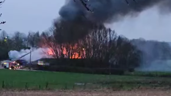 Felle brand in De Klijte bij Heuvelland - Focus en WTV