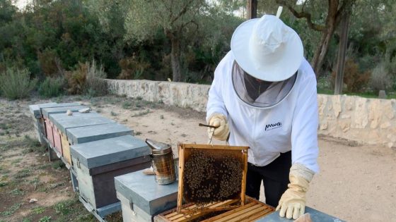 Crearan una marca per posar en valor la mel catalana