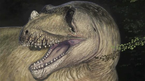 New predator dinosaur species discovered after century of misclassification