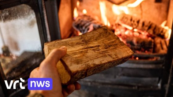 Luchtkwaliteit is slecht in Vlaanderen, oproep om geen hout te verbranden